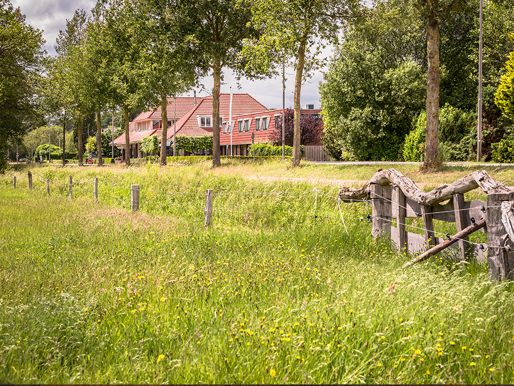 Het Wapen van Delden