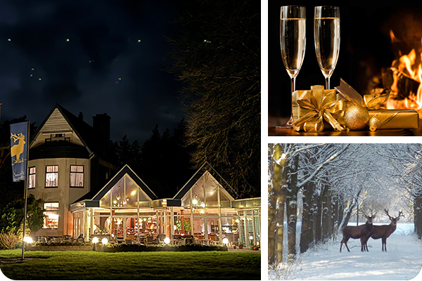 Veluwe Hotel Stakenberg 3 luik winter
