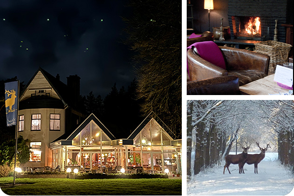 Veluwe Hotel Stakenberg winter