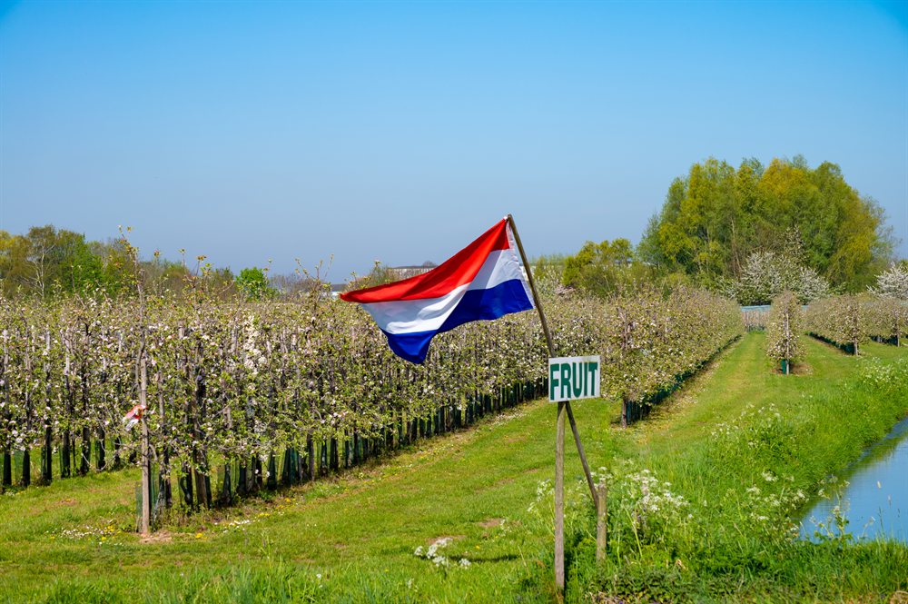 hotel deal nederland nijmegen fletcher gelderse poort