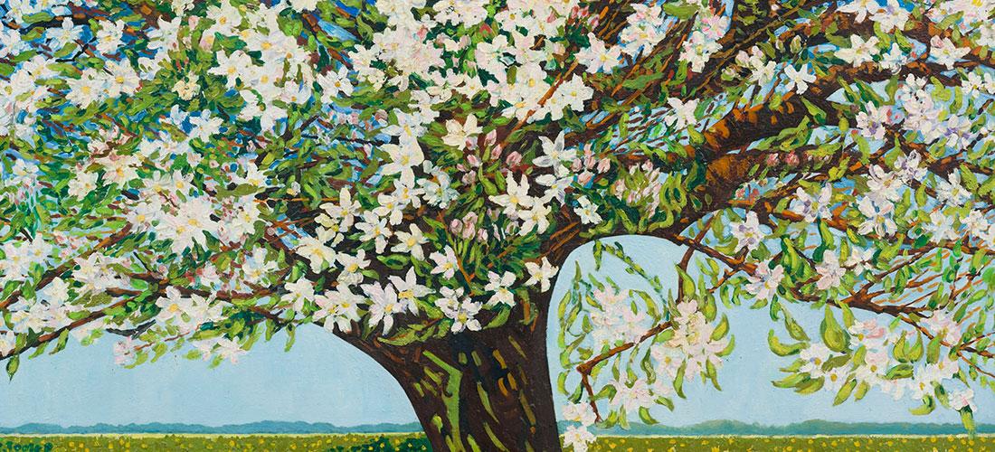 Museum More Kunst Colletie