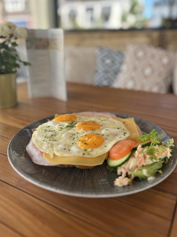 hotel lastminute deal gelderland terborg hotel de roode leeuw