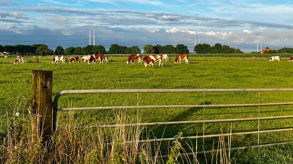 voordelig hotel terborg gelderland hotel de roode leeuw