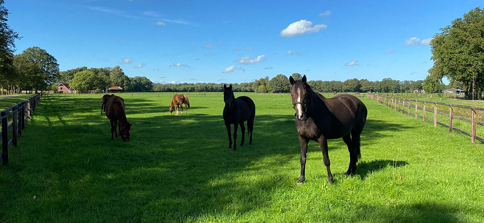 hotelarrangement twente overijssel