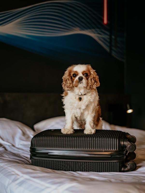 nachtje weg aanbieding noordzee wijk aan zee hotel heemskerk