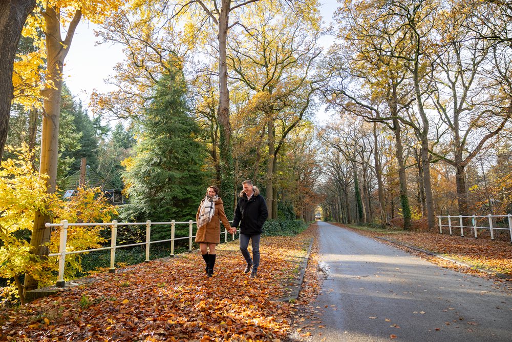overnachting aanbieding hotel oranjewoud oranjewoud friesland