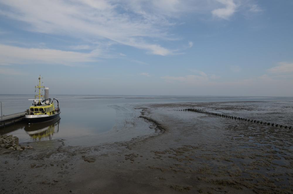 Amelander Kaap Exterieur Omgeving  1 