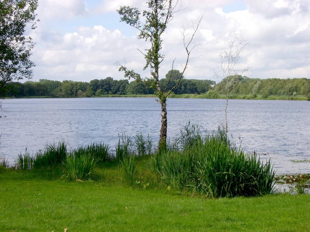 Dikke van Dale Exterieur Omgeving 002