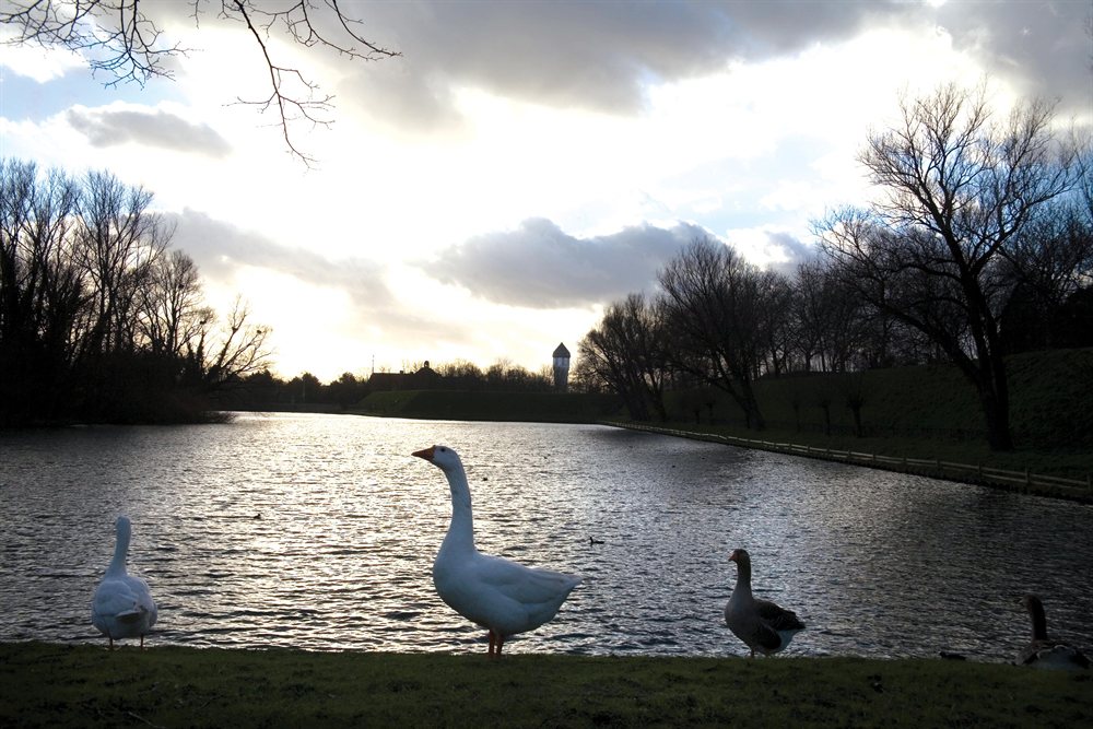 hotelpakket fletcher hotel restaurant de zalm brielle