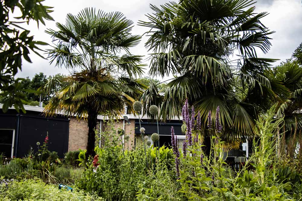 hoteltuin zeeuws vlaanderen hotel de elderschans