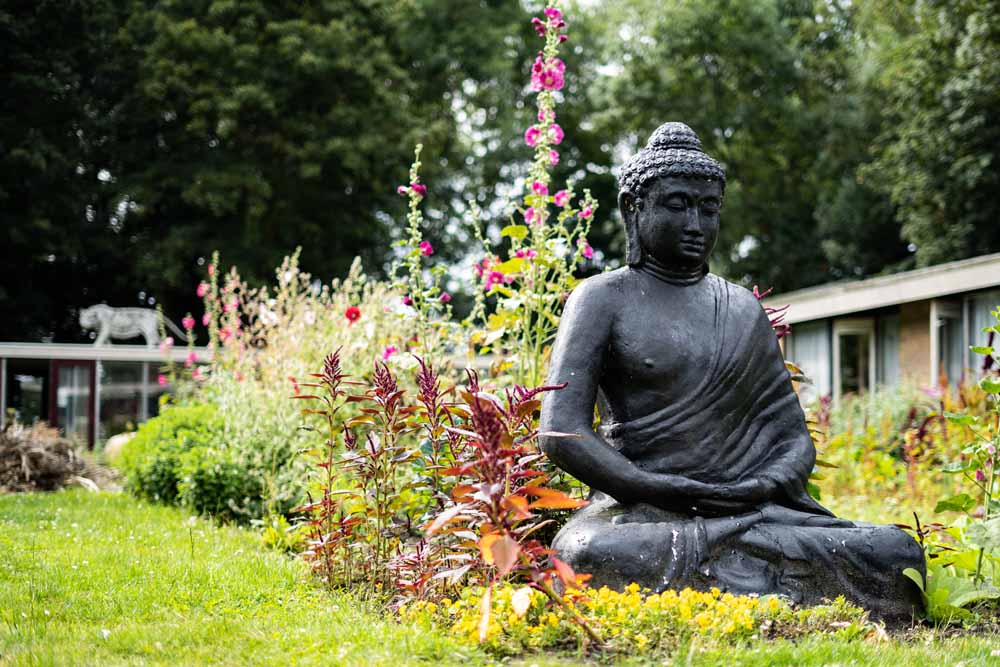 weekendjeweg zeeuws vlaanderen hotel de elderschans