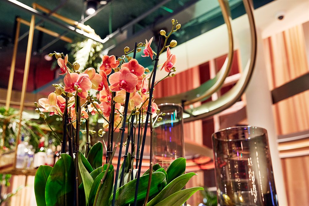 hotels dichtbij hyatt hotel antwerpen antwerpen belgie