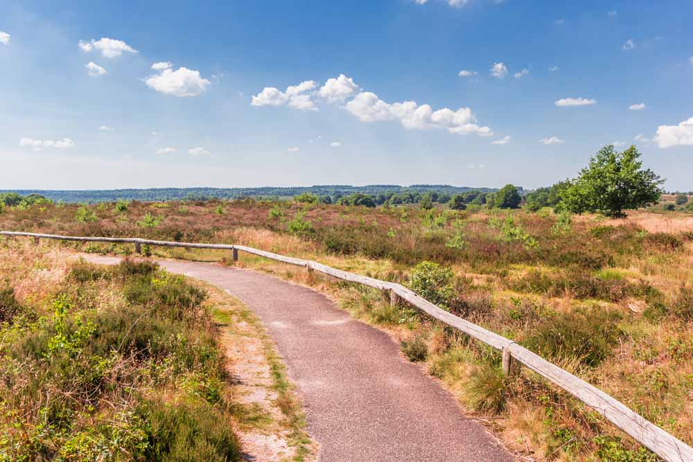 Sallandse Heuvelrug Raalte fietsen