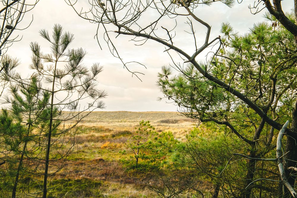 hotel acties nederland vlieland hotel donia huys friesland