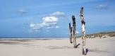 De Wadden