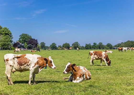 Even weg naar de Achterhoek