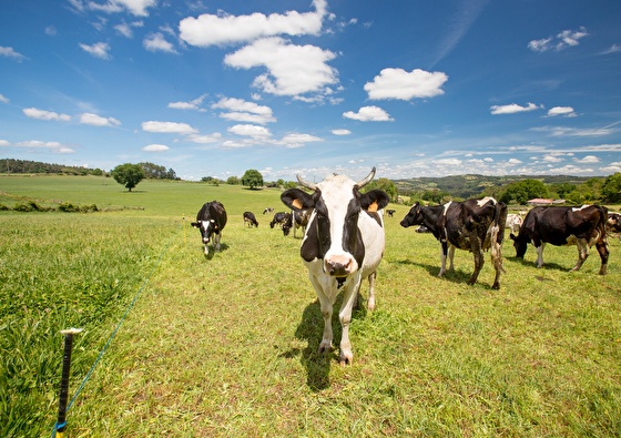 Even weg naar de Achterhoek