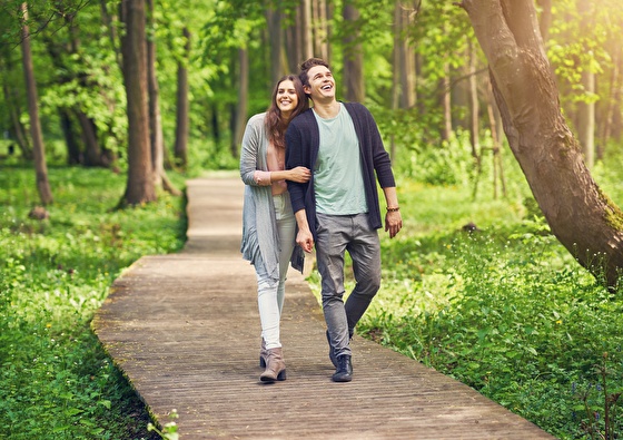 Wandelen in het bos