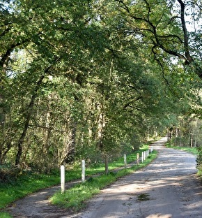 Verblijf op de Veluwe!