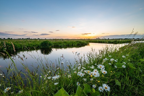 De natuur in