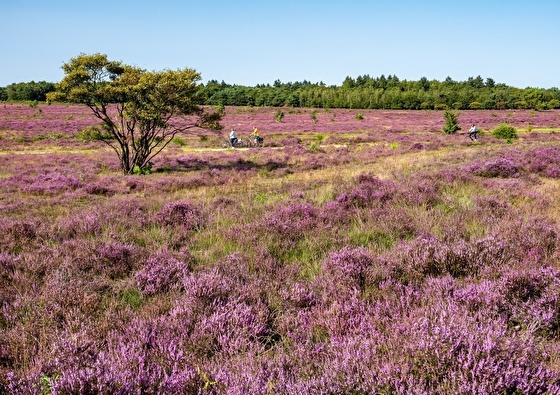 even weg naar de Veluwe