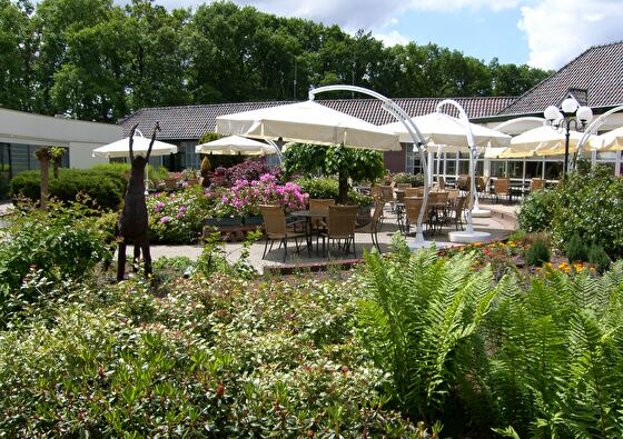 Terras Fletcher Hoenderloo