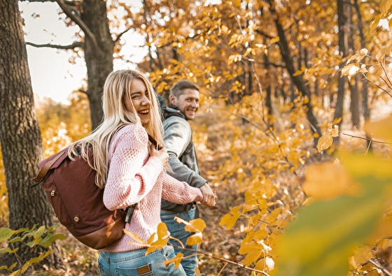 Hotel Biesbosch | Geniet van de natuur in de Biesbosch! 3-daags