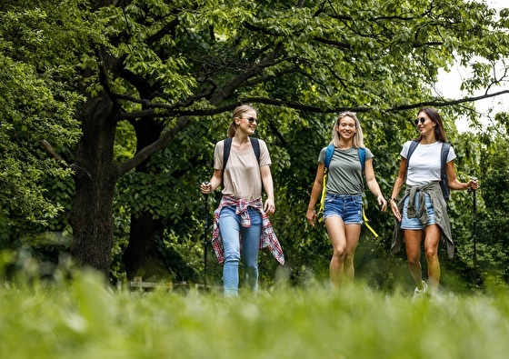 Hotel Creusen | Ontdek de heuvels van Limburg!
