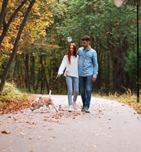 Wandelen in het bos Ommen