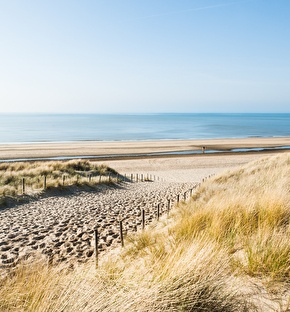 Vlieland strand