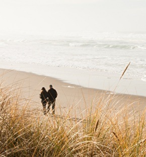 Strand Vlieland hotel Doniastate