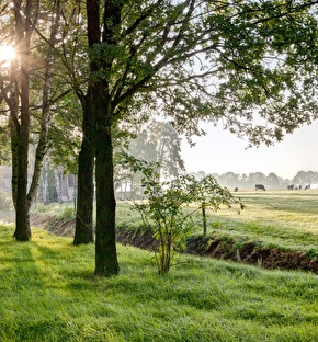 wellness- Landgoed de Holtweijde