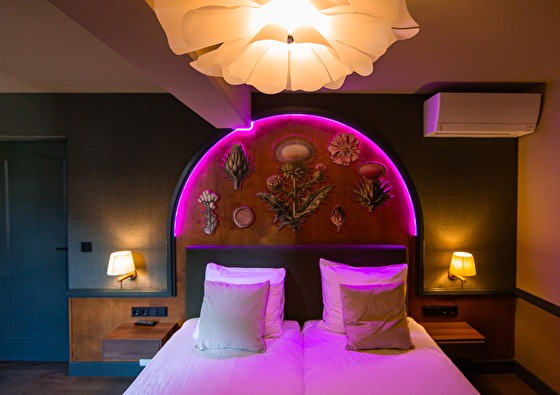 Kamer Kasteel Elsloo 