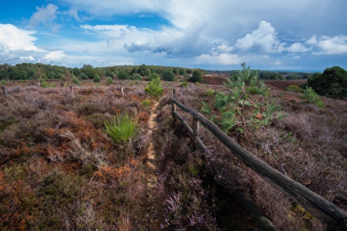 Hotelarrangement in natuurgebied de Veluwe