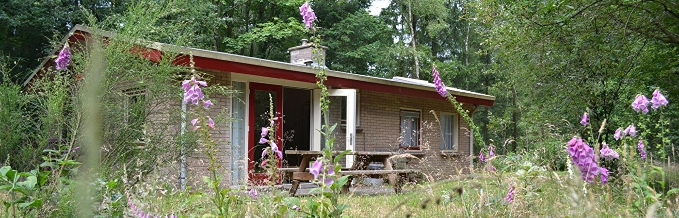 Landgoed Hotel Stakenberg Bungalows