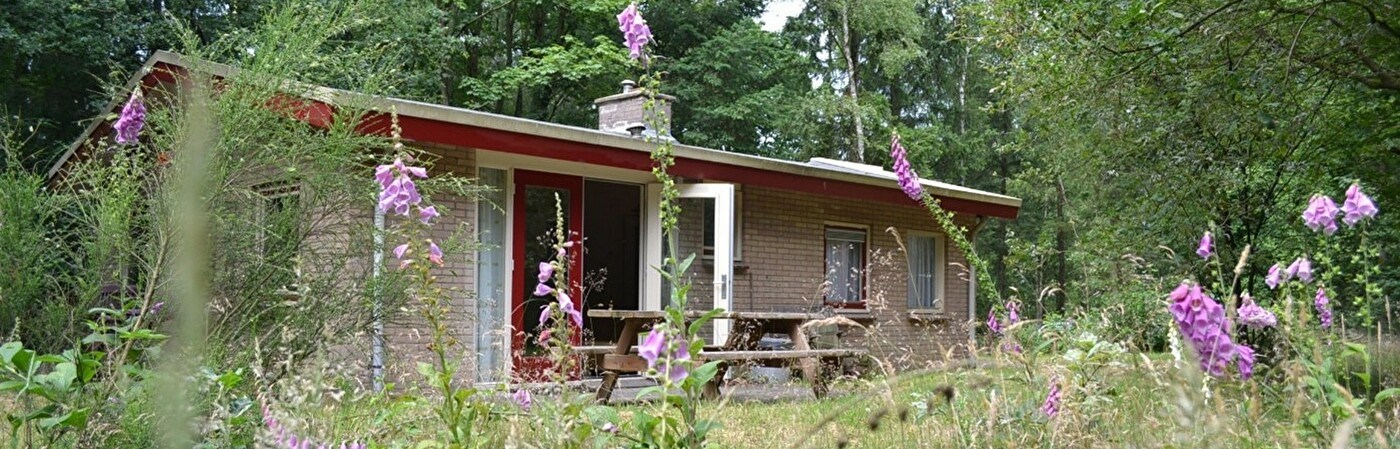 Landgoed Hotel Stakenberg Bungalows