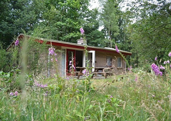 Bungalow Taxus Stakenberg