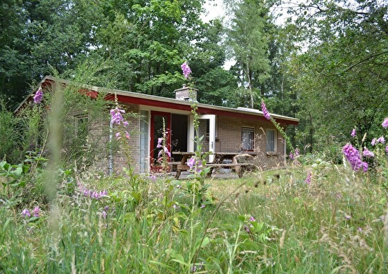 Bungalow Taxus Stakenberg