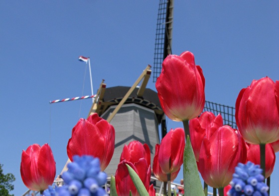 NH Leeuwenhorst | Strandwandelen en shoppen aan zee 3-daags