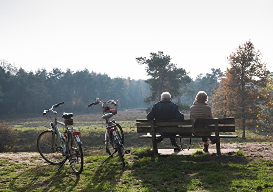 Populus Hotels | 4-daagse fietsvakantie door Twente & Salland 