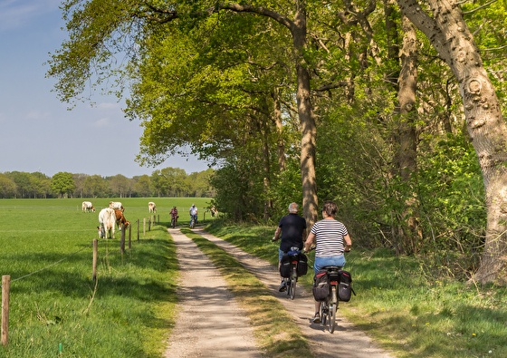 Fietsen in het voorjaar