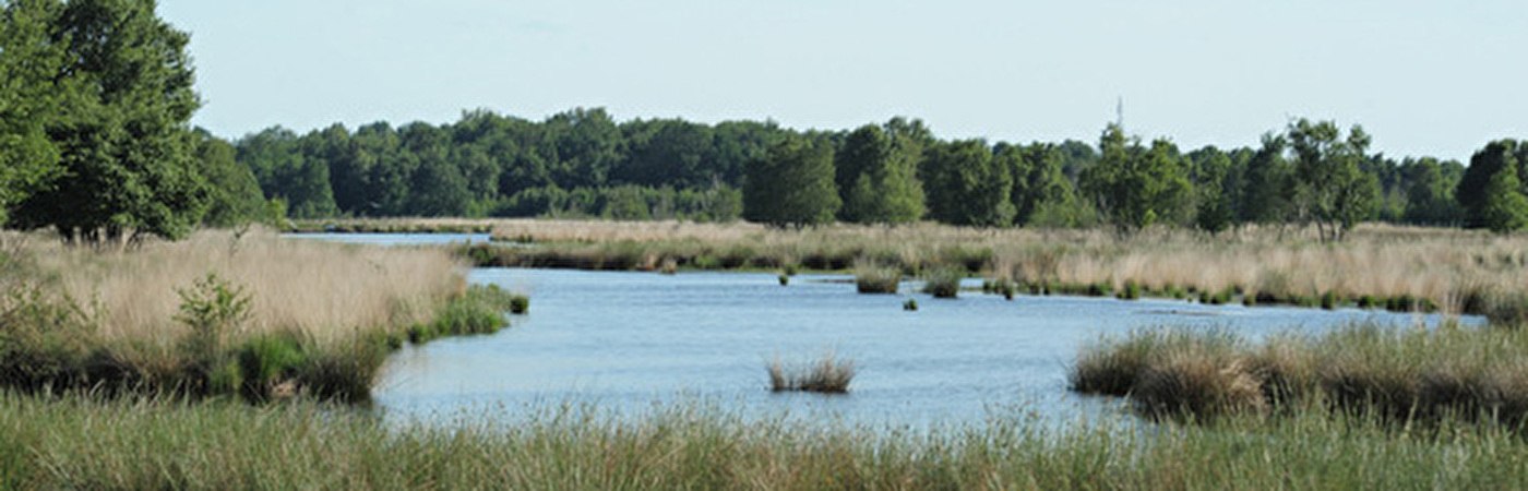 Omgeving Drenthe 