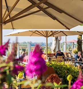 terras in Doesburg