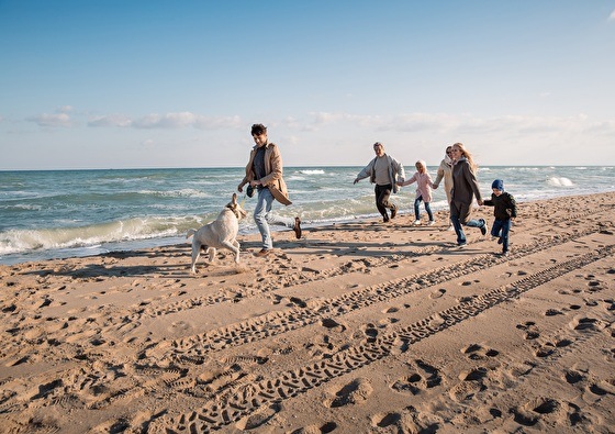 Genieten aan zee Noordwijk
