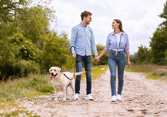 Wandelen Vrijrijck 