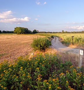 Vakantiepark Vrijrijck | Weekend terug naar de natuur!