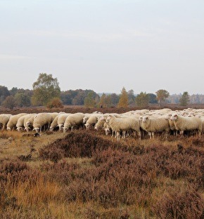Veluwe Hotel Stakenberg | Op naar de Veluwe! 
