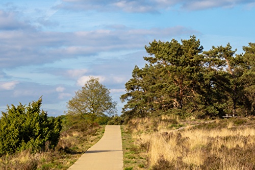 nachtje weg