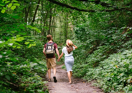 goedkoop hotel in de natuur